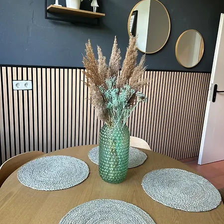 Appartement Mintara Komfort Mit Grill -terrasse, Sky Und Parkplatz Magdebourg